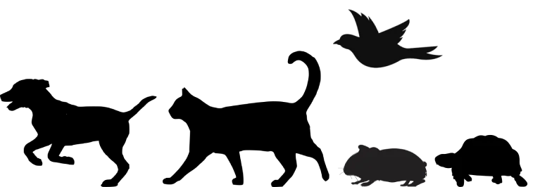 pollos familia fondo